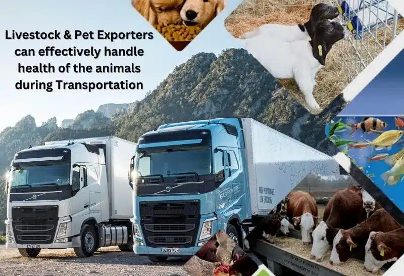 Livestock & pet exporters fleet management solution