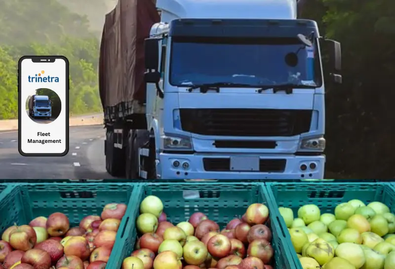 food delivery fleet management